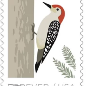 Birds in Winter Forever Stamps