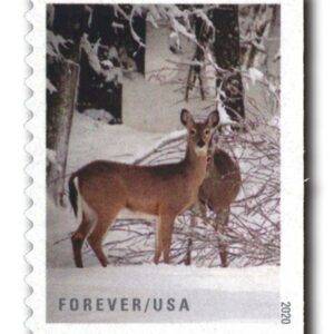 Winter Scenes Forever Stamps
